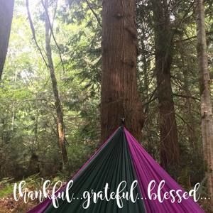 Meet your Posher, Shelly